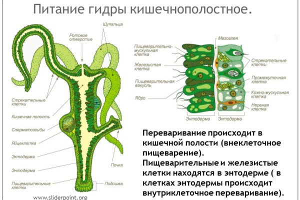 Кракен магазин наркоты